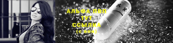 амф Лабытнанги
