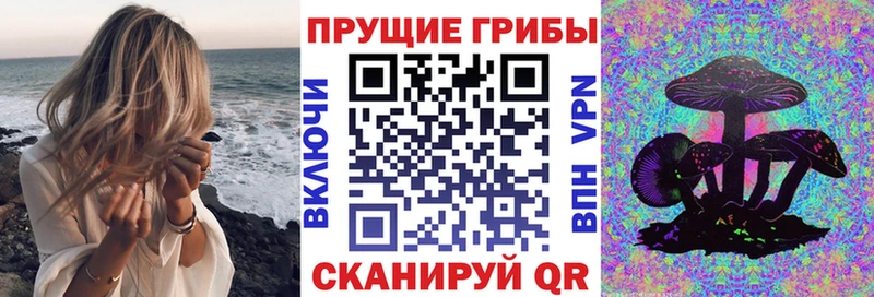 сайты даркнета наркотические препараты  купить закладку  Чегем  Галлюциногенные грибы MAGIC MUSHROOMS 